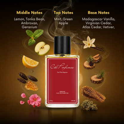 100 ml