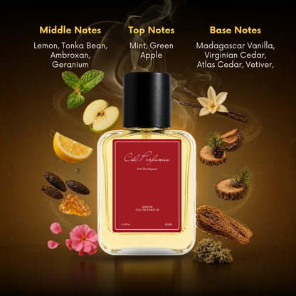 50 ml