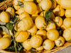 Bergamot fragrance-note image
