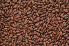 Tonka bean fragrance-note image