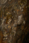 Wood fragrance-note image